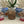 Load image into Gallery viewer, Counter Treats w/ Glass Jar